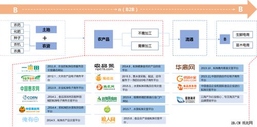 一文读懂农业b2b电商发展现状 下游食材配送电商企业呈爆发式增长